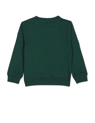 Image of U.S. POLO ASSN. Kids Regular fit Cotton Crew Neck Sweatshirts (UKSWSON0104 Green 12M)