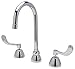 Zurn Z831B4-XL-17F Widespread Faucet with 5-3/8" Gooseneck and 4" Wrist Blade Handles, 1.5 GPM Vandal-Resistant Pressure Compensating Female Aerator