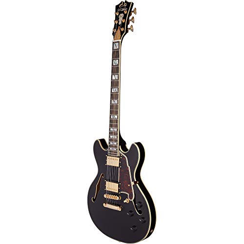 D'angelico Electric 6 String Acoustic Guitar, Right, Black (Daeminidcsbkgs) #TOP3