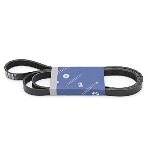 Correa serpentina de caucho sintético duradero compatible con Cherokee XJ 2.5 5