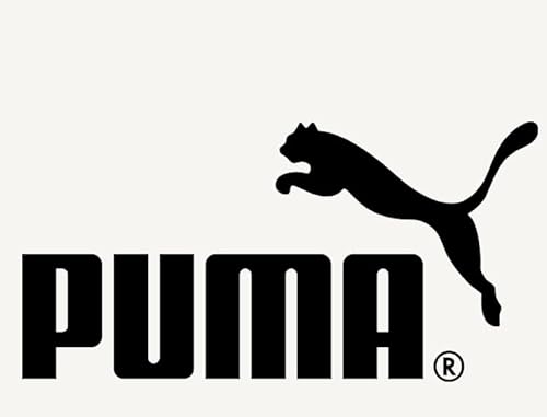 Puma Toddler Boys' Activewear Set - 3 Piece Active Fleece T-Shirt, Hoodie Sweatshirt thumb #6