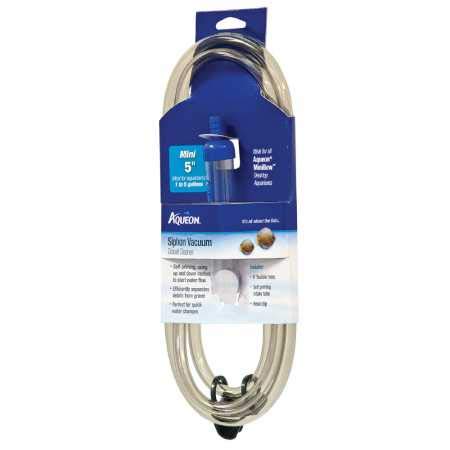 most vicious dogs in the world