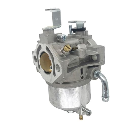 Carburateur GB290 GB300 GM291 GM301 pour moteurs de 8 à 10 HP