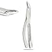 PRECISE CANADA: New German Grade Stainless Dental Tooth EXTRACTING Forceps #150AS with Serrated Jaws New