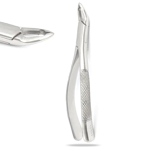 PRECISE CANADA: New German Grade Stainless Dental Tooth EXTRACTING Forceps #150AS with Serrated Jaws New