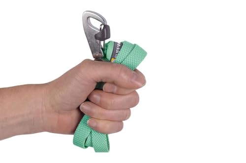 RUFFWEAR Hundeleine Hi & Light, Starke Leine, mit integrierter Aufbewahrungstasche und sicher abschließbarem Crux-Clip, kompakt zusammenklappbar auf Taschengröße, Sage Green
