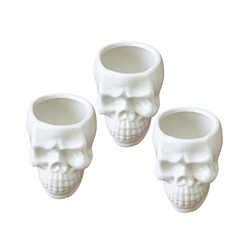 PRETYZOOM 4 Piezas Maceta De Plantas Maceta