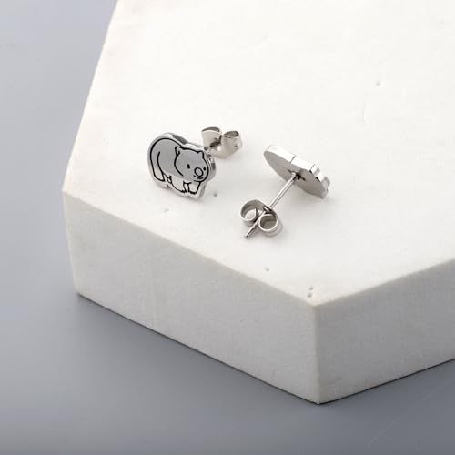 OKEYCH Wombat Lover Gift Wombats Stud Earrings Who Loves Wombats Jewelry Wombat Merch4