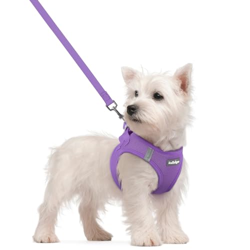 Image of rabbitgoo Dog Harness Small Sized and Leash Set, Step-in Puppy Pet Vest