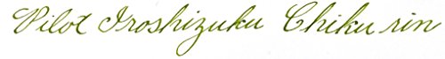 PILOT Iroshizuku Bottled Fountain Pen Ink, Chiku-rin, Bamboo Forest (Light Green) 50ml Bottle (69222) - Thumbnail 4