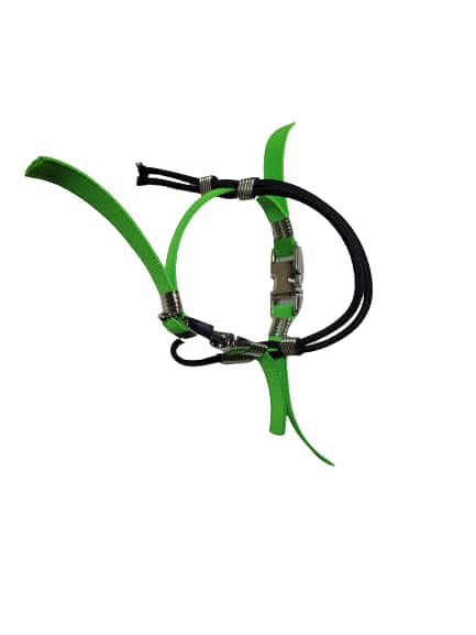 Geschirr Für Große Papageien (Alexandrinersittich) – Elastisches Brustband 10 Mm, 2 Verstellbare Stahlverschlüsse, Mit 95 Cm Leine & Schlüsselanhänger