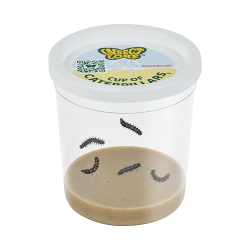 Insect Lore Cup of Caterpillars Basic – 5 Live Painted Lady Caterpillars with Food – Refill Kit...