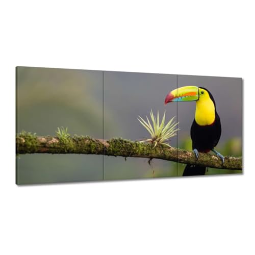 Tableau toucan 120x60cm pour habiller un grand mur vide