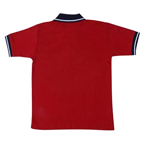 Image of PROLIFE KENDRIYA VIDHYALAYA (KV) School House Tshirts