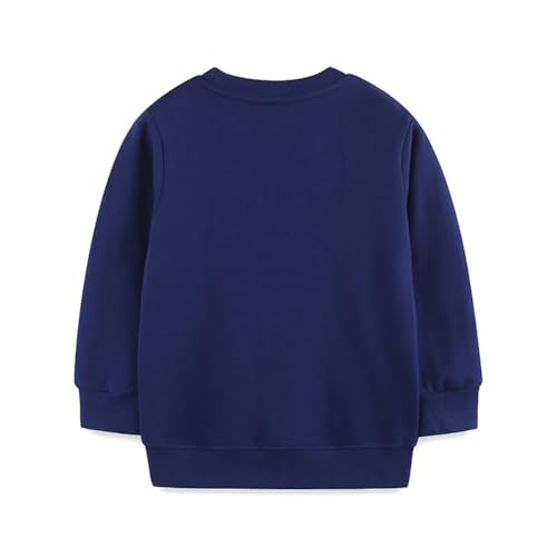 Boys Sweatshirts Casual Sweatshirts Cotton Sweatshirts Long Sleeve T-shirts Crew Neck Cartoon Tops for Boys-3372