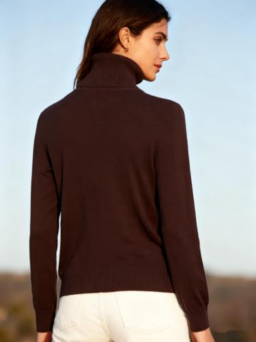 Image of DAIMIDY Turtleneck Sweaters for Women Long Sleeve Pullover Tops | Knitted Material| Soft, Warm and Breathable| High Resilience and Tensile Strength Design| Business Casual Tops| Dailywear