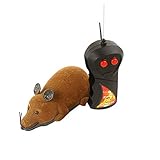 1/10 scale rc camper trailer Schlüsselwörter:unzerstörbar am seil huhn schwimmendes bälle bissfestes gummihuhn stabiles intelligentes afp ente interaktives wasserball hundespielzeug handgemachtes ring football seil gummi all paws plüsch bouncy tennisbälle softball hundespielzeuge bissfestes für große hunde stock l schwimm boje wasser befüllbares plüschtier puller plüschball quietscher strong stuff karotte hundespielzeug vollgummi quietschendes angel bewegliches laserpointer igel wildschwein geier ball korb