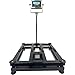 SellEton SL-916-18x18 Industrial Portable Bench Scale Stainless Steel & Indicator with 600 lb Capacity & .05 lb Accuracy