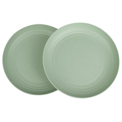 Soptalles 2 Pcs Wheat Straw Plates, 9Inch Unbreakable Dinner Plates