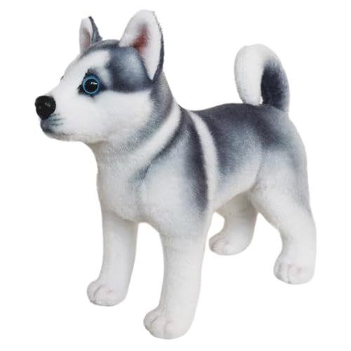Consejos para Comprar Cachorro husky los más recomendados. 20