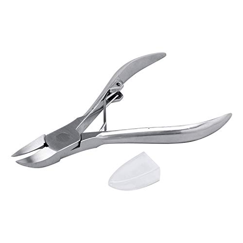 RCt jbp[̒ܐ؂ ܐ؂   n J[u XeX   lCPA