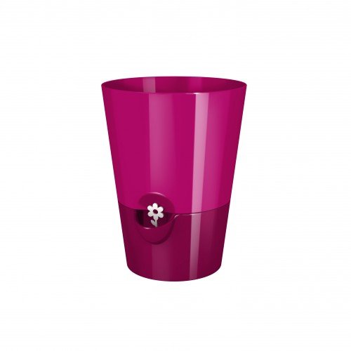 Preisvergleich Produktbild emsa FRESH HERBS Kräutertopf, pink, Durchmesser 130 mm