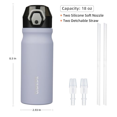 Image of BJPKPK 18 oz Water Bottle with Straw & Handle, Insulated Stainless Flask | Leak Proof Locking Lid, Thermal, Double Wall Vacuum, Keeps Hot /Cold, BPA Free, Dishwasher Safe, Travel & Sports, Iceberg