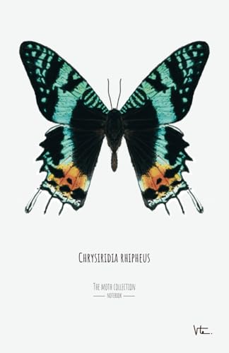 The Moth Collection: Chrysiridia rhipheus: Paperback Notebook 5,5