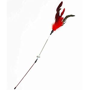 The Pets Company Cat Spring Treaser, Feather Dangler Wand, Interactive Stick Toy for Cats & Kittens