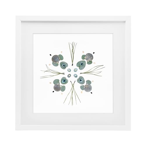 Seashell Leaf Symmetry Botanical, 16 x 16 Inch Framed Print Under Glass