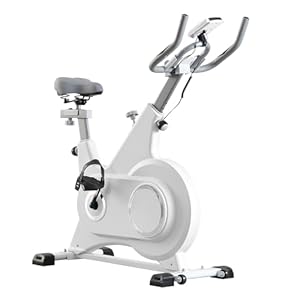 TRIOBLADE Exercise Bike, Indoor Cycling Bike with Phone Mount & LCD Display, Magnetic Resistance Stationary Bike for Home Gym Use Fitness Bicycle with Comfortable Seat Cardio Workout (White)