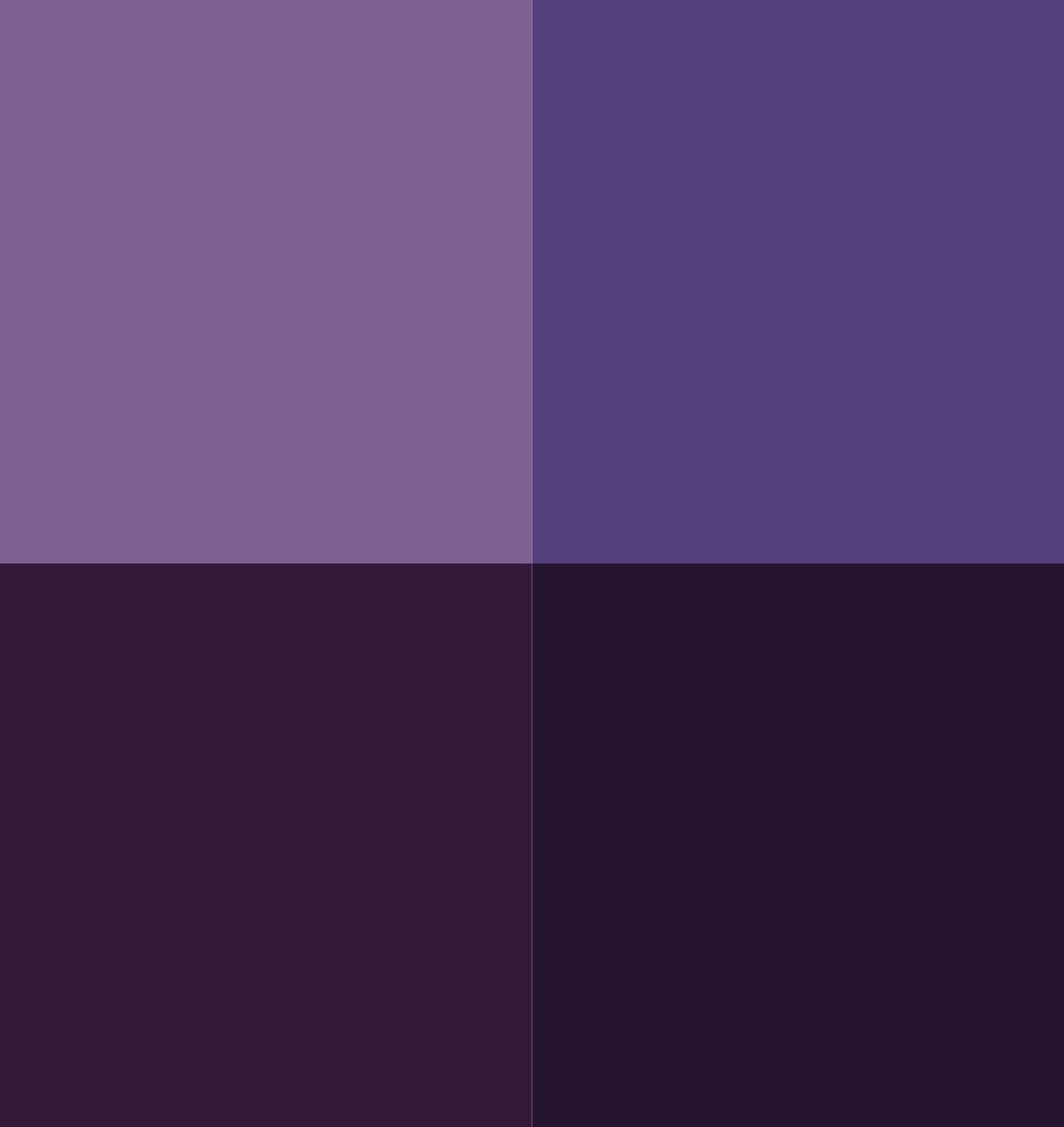 Vallejo - Purple Color Set | Game Color | Contains 4 Bottles x 18 ml (0.60 fl.oz.)