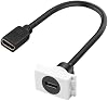 QIANRENON Módulo de Socket de Placa de Pared HDMI 23*36mm Cable Corto Adaptador Acoplador HDMI 2.0 Hembra a Hembra Conector de Panel de Inserción 4K@60Hz, para Ranura de Panel de 0.9*1.42in, Extiende Puerto HDTV, 25cm/9.8in 2