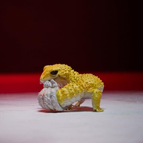 Gecko Léopard AMITD figurine réaliste pour décorer sans les contraintes d'un élevage