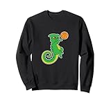 animal basketball sport basket hall dribbling