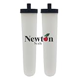 Newton