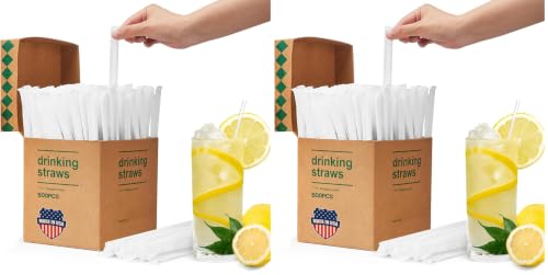 Image of Plastic Straws 500 Pcs Individually Wrapped Clear Disposable Drinking Straw (Pack of 2)