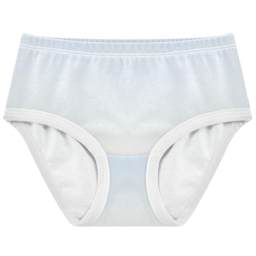 Joisal Cotton Girls Underwear Toddlers Elegant Blue Floral White Gradient Girl Panties Cute Bright Underpants Briefs 2t