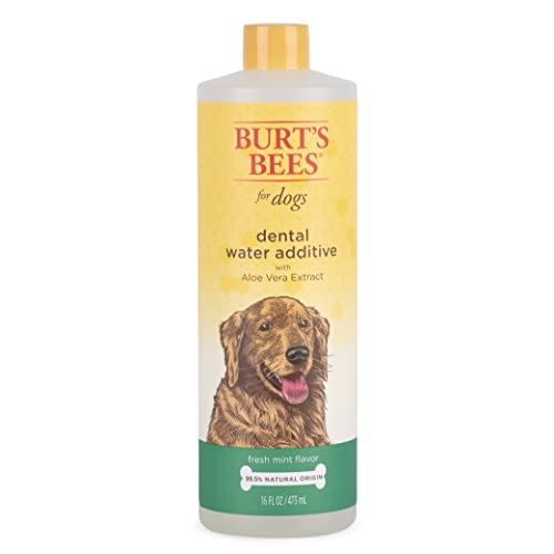 Top 10 Best Dental Rinse For Dogs Reviews & Buying Guide Katynel