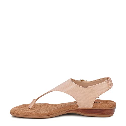 Walking Cradles Noelle4