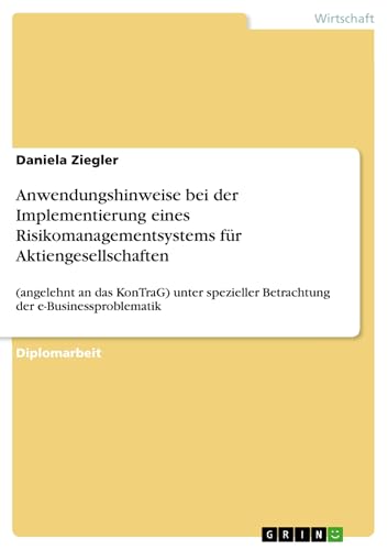 Anwendungshinweise bei der Implementierung eines Risikomanagementsystems für Aktiengesellschaften: (angelehnt an das KonTraG) unter spezieller Betrachtung der e-Businessproblematik
