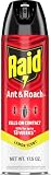 Raid Ant & Roach Killer Bug Spray, Lemon Scent, 17.5 oz