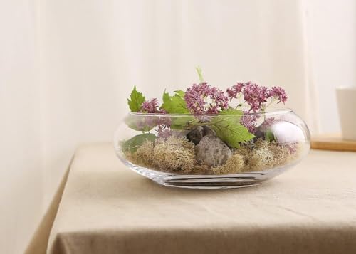 Image of Urli Bowl-Splendid Glass Spring Bowl for Home Decoration Table Centerpiece, Floral Arrangements, and Floating Candels (Clear, 6 Inch)