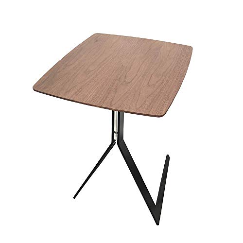 Carl Artbay Home&Selected Furniture/Retro Solid Wood Laptop Table Squa