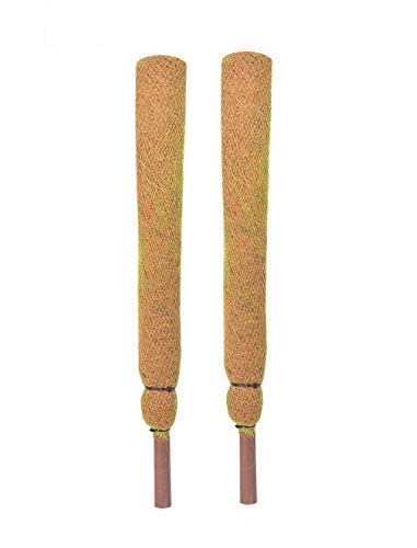WingDong Coco Pole 3 Feet (120 cm) - 2 Pieces - Moss & Coir Stick for Money Plant Support, Indoor Plants, House Plants & Plant Creepers (2) (B09RMWSVZB) Amazon Price History, Amazon Price Tracker