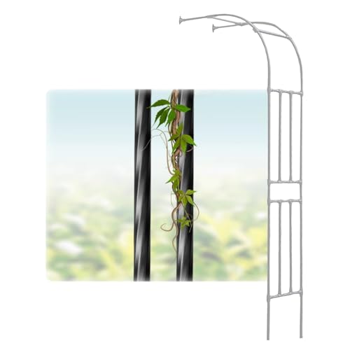 Traliccio ad arco da giardino per piante rampicanti Supporto per arco a mezza rosa in metallo Robusto pergolato da giardino per verdure, fiori e fruttaStruttura rampicante durevole per viti e rose