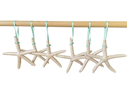 Starfish Christmas Tree Ornaments (Pearl)