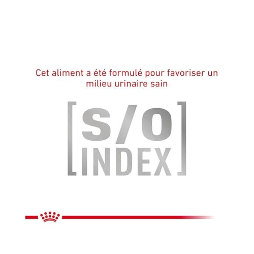 Royal Canin Gastro Intestinal Fibre Response | 12 x 85 g | Diät-Alleinfuttermittel für Adulte Katzen | Für Katzen mit chronischer Verstopfung oder ähnlichen Magen-Darm-Problemen