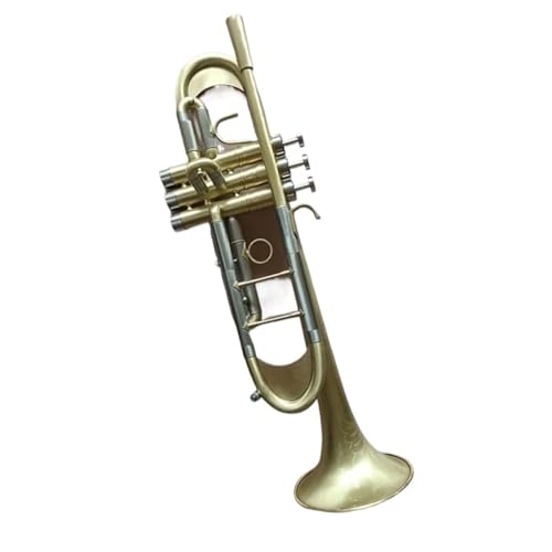 gybgy Bc gybg TR-197GS Vo[bLgybg^ǊygybgvtFbVi(Gold)