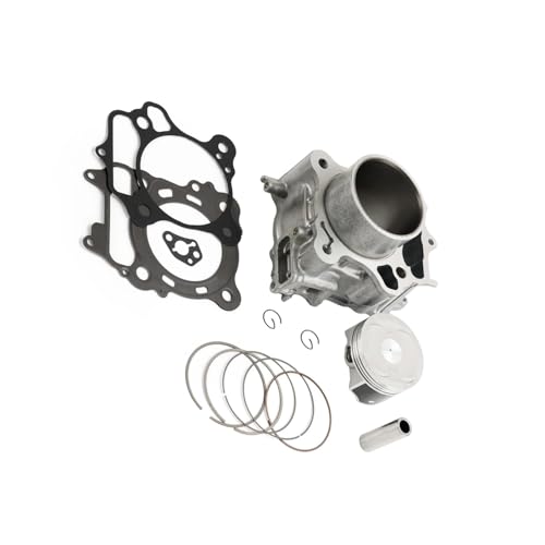 Kit de joint de piston de cylindre Forza 350 pour réparer perte puissance NSS350